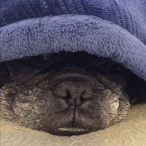 Meet your Posher, Scott